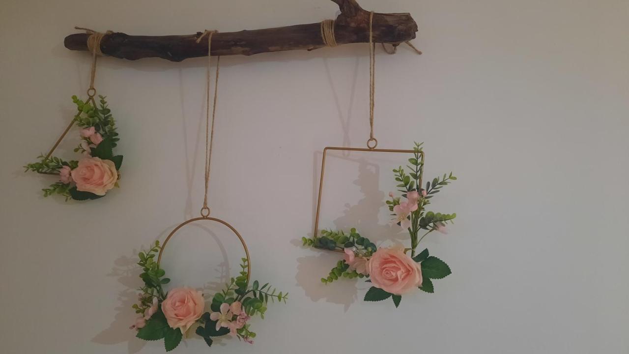 Ana Paula House Apartment Aveiro Luaran gambar