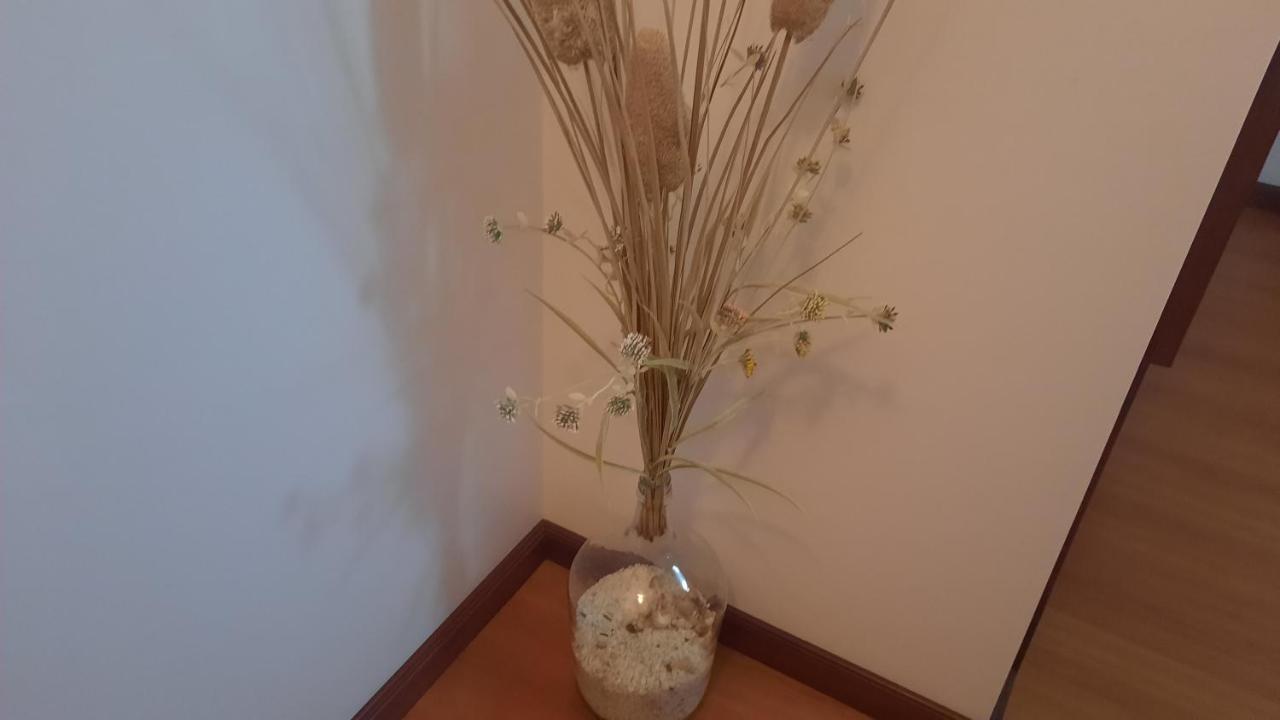 Ana Paula House Apartment Aveiro Luaran gambar